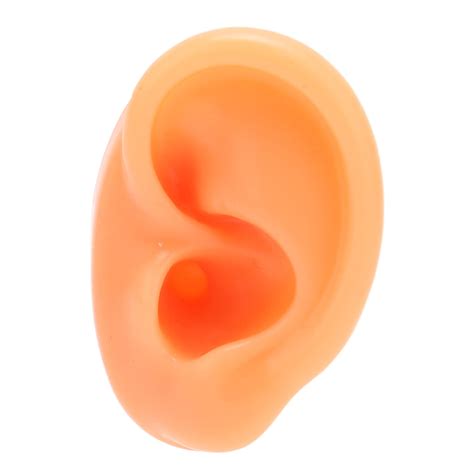 Flexible Silicone Fake Human Ear Model for Piercing Training - Left Ear