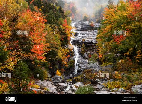 Crawford Notch State Park Trail Map