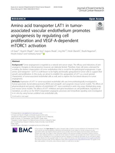 PDF Amino Acid Transporter LAT1 In Tumor Associated Vascular