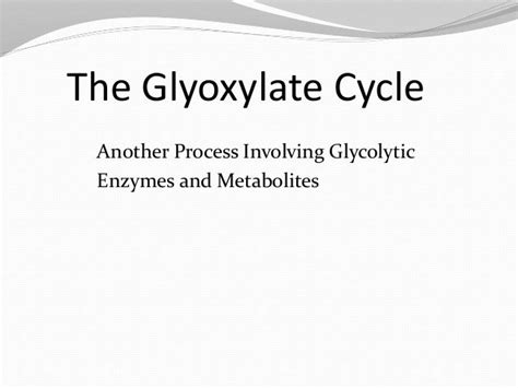 Glyoxysomes