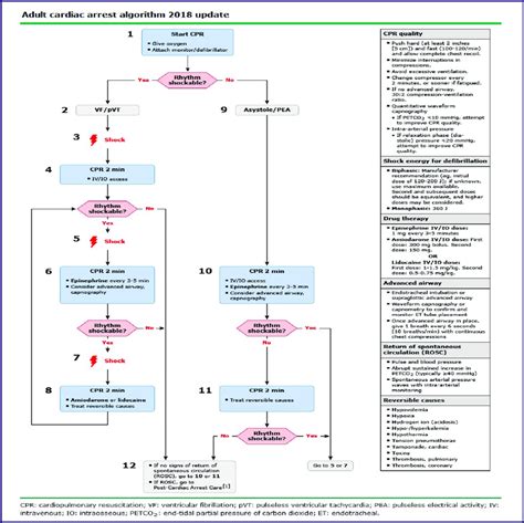 Cardiac Arrest Management Algorithm 1 Download Scientific Diagram