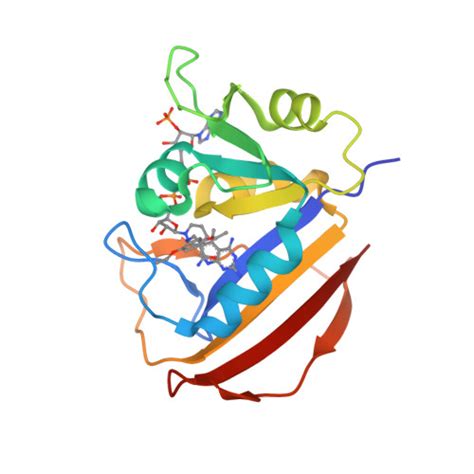 RCSB PDB 2W3W MYCOBACTERIUM AVIUM DIHYDROFOLATE REDUCTASE COMPLEXED