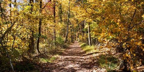 Pennsylvania Hunting Seasons