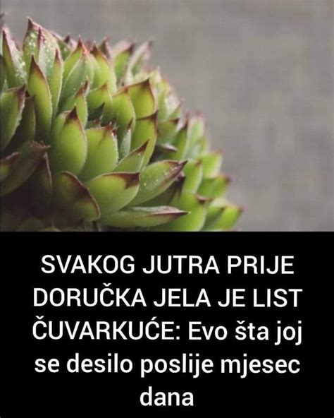 Kad Sa Bubrezima Nije Sve U Redu Tijelo Alje Ove Signale Simptoma