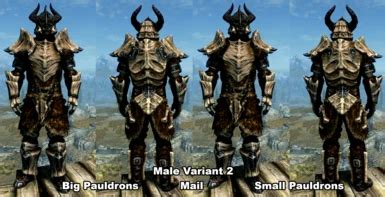 Symmetric Dragonplate Insulated Cuirass And Dragonbone Mail Replacers