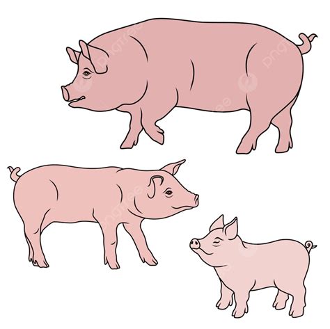 Piglet Pigs Vector Art Png Big Pig Sow Piglet Stylized Icon Brood