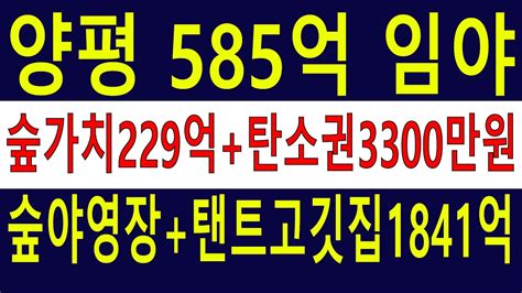 585억~ 큰~돈 벌 양평임야 수~만평계획보전관리8천평포함 뷰~카페 숲야영장캠핑교회탠트고기집6차산업1841억 숲가치229억