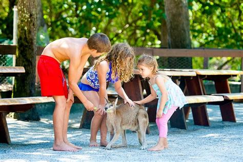 SOUTH STRADBROKE ISLAND CAMPING - Updated 2024 Campground Reviews ...