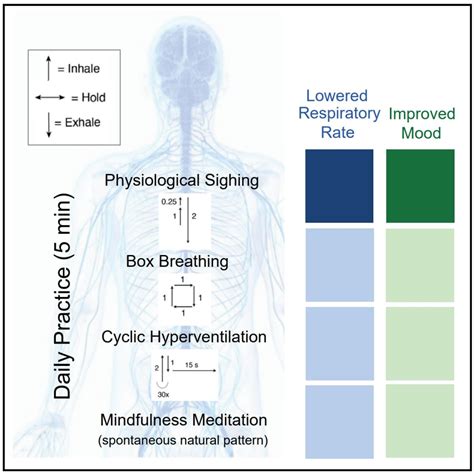 Breathing Labs – Melis Yilmaz Balban: Cyclic breathing and stress