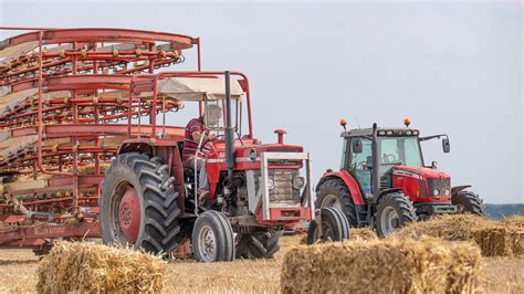 Massey Ferguson 185 5612 6460 Small Straw Bales YouTube