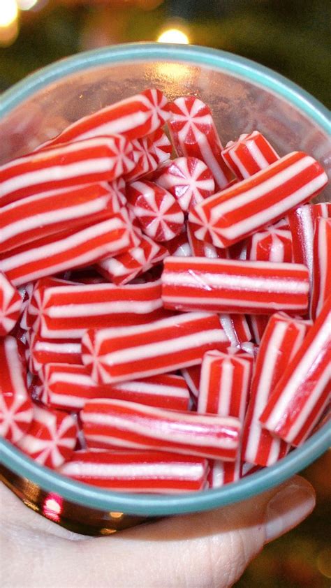 Vidal Mini Licorice Candy Canes 🎄 These Delicious Cherry Flavored