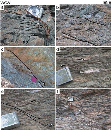 crenulation     progressive development