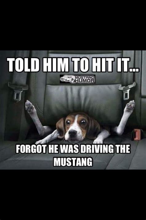 Pin By Debbie Blinn On The Mustang Board Funny Car Quotes Mustang