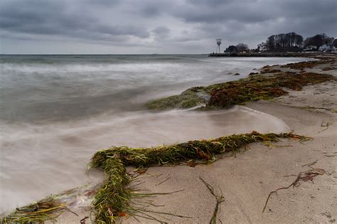 Au bord de la Mer Baltique Mickaël Bonnami Photographe