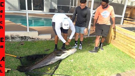 Catching Massive Fish In Backyard Pond New Pb Record Youtube