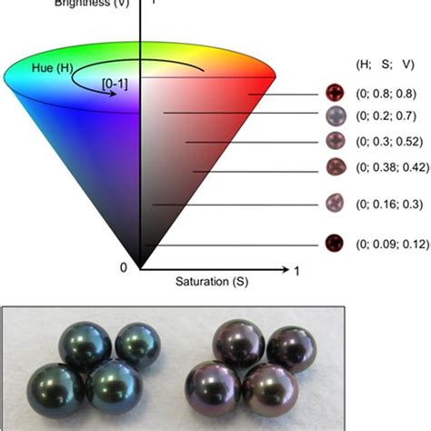 The Hue Saturation Value (HSV) colour code system used to quantify... | Download Scientific Diagram