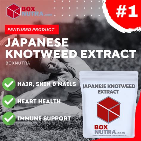 Japanese Knotweed Extract (20% Resveratrol)(Polygonum Cuspidatum)(Root — BoxNutra