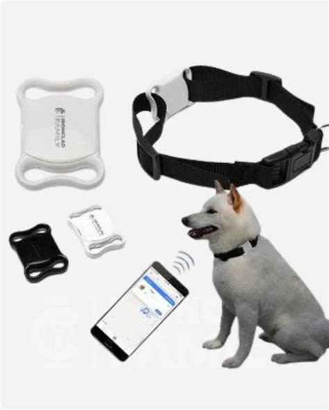 Bluetooth Pet Tracker for Cat and dogs | IronClad Family Store