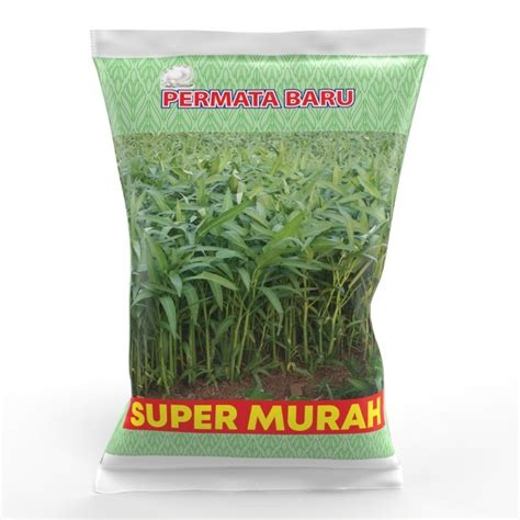 Jual Benih Kangkung Super Murah Kg Daun Sedang Benih Biji Permata