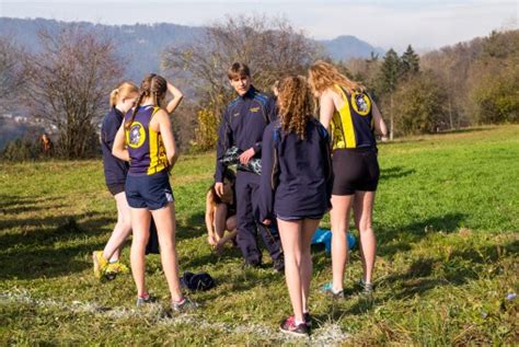 Kostenlose foto : Wald, Gehen, Menschen, Straße, Weg, Laufen, Lauf ...