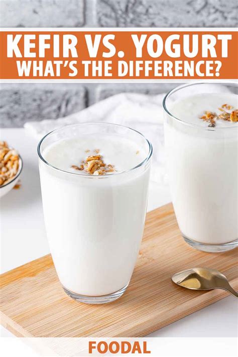 What’s the Difference Between Kefir and Yogurt? | Foodal