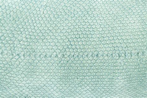 Exotic leather Images - Search Images on Everypixel