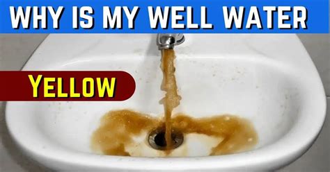 9 Causes Of Smelly Or Yellow Well Water What Should You Do