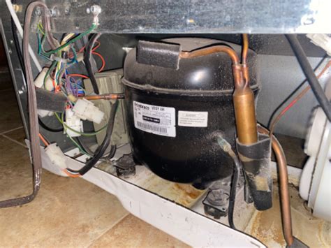 How To Tell If Refrigerator Compressor Is On At Pete Oleary Blog