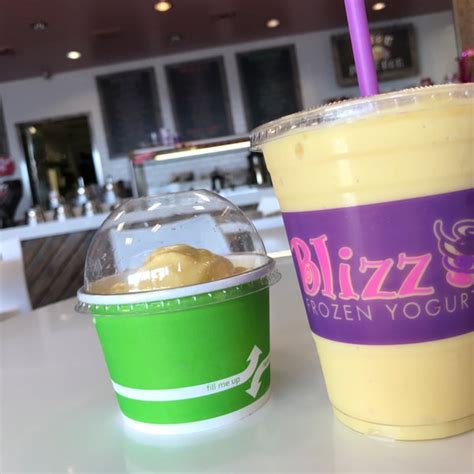 Blizz Frozen Yogurt (Now Closed) - Frozen Yogurt Shop in Sherman Oaks