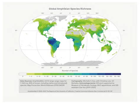 Global Species Richness Of Amphibians Note The High Alpha Diversity