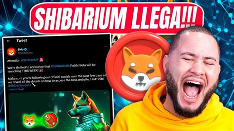 Shiba El Shibarium Sale Esta Semana Todo Explota Youtube