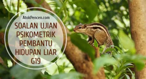 Contoh Soalan Ujian Psikometrik Pembantu Hidupan Liar G G