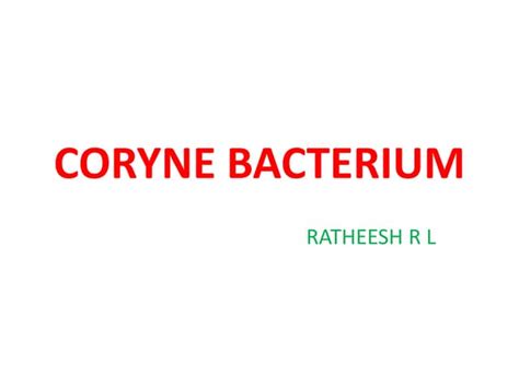 7. coryne bacterium | PPT