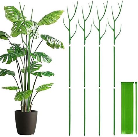 Amazon Piezas De Soporte Para Plantas En Forma De Rama Estacas