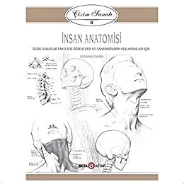 Çizim Sanatı Serisi 6 İnsan Anatomisi Güzel Sanatlar Fakültesi