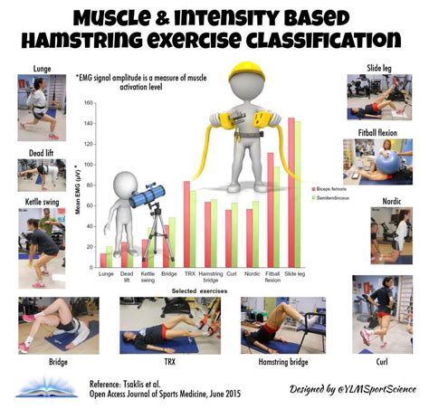 Hamstring Exercise Intensity Hamstring Workout Hamstring Curls