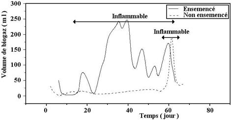 Evolution Du Volume De Biogaz En Fonction Du Temps Pour Les