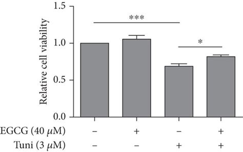 Egcg Pretreatment Inhibited Tuni Induced Decrease In Cell Viability Of