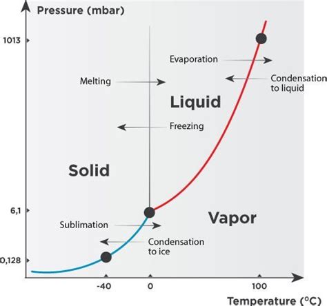 The Lyophilization Process - Learn more!