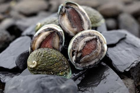 Three Friends Abalone Great Australian Seafood