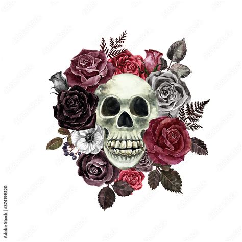 Floral skull watercolor illustration. Dead men and red, black roses ...