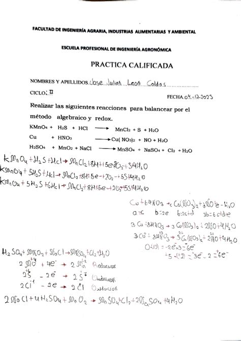 Práctica Calificada LEON Caldas Quimica Inorgánica Lengua y