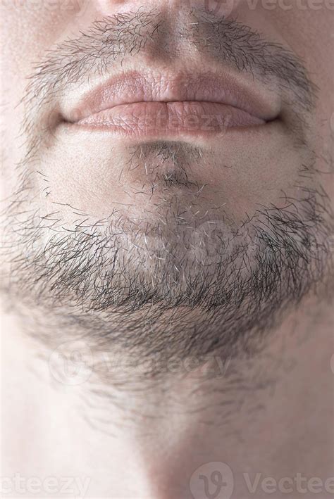 Crop Shot The Men S Unshaven Chin Caucasian Male With Facial Hair