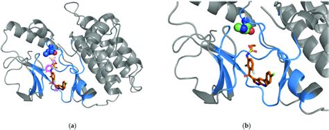 Simulated And Crystal Structures Of The Braf Drug Complex A The