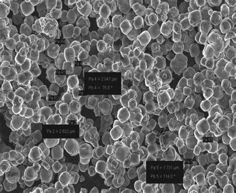 Fesem Micrographs Of A Raw Zeolite A B Zeolite A Treated With