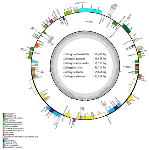 Characterization Of The Complete Chloroplast Genome Sequences Of Six