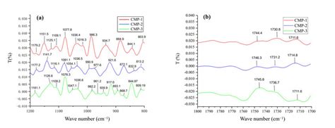 The Second Derivative Ft Ir Spectrum Of Three Polysaccharides In The Download Scientific