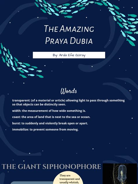 The Amazing Praya Dubia | PDF | Aquatic Animals