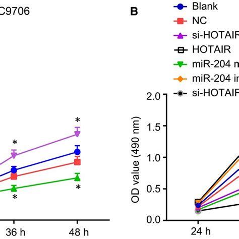 Down‐regulation Of Hotair Inhibits Proliferation Of Oesophageal Cancer