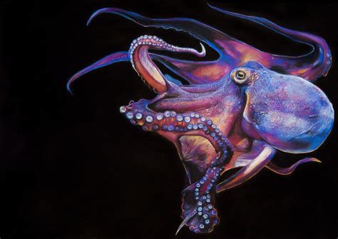 Colourful Octopus Painting Etsy UK